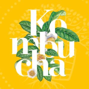 Kombukola 33 cl – 2 PEZZI
