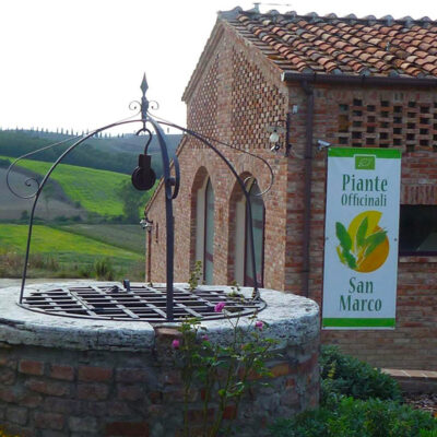 piante_officinali_san_marco