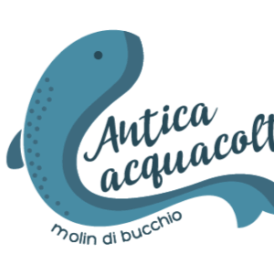 Trota intera 1 kg circa