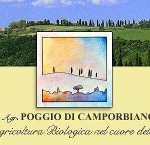 Cassetta verdure miste di stagione 3 kg