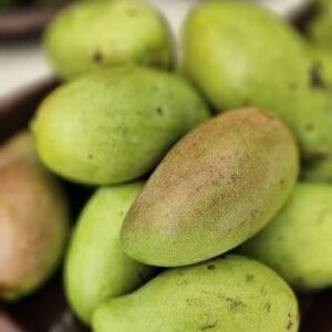 Mango bio